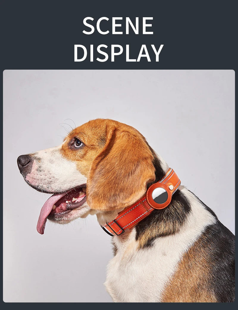 Reflective AirTag Dog Collar – Adjustable Heavy-Duty Collar with Built-In AirTag Holder