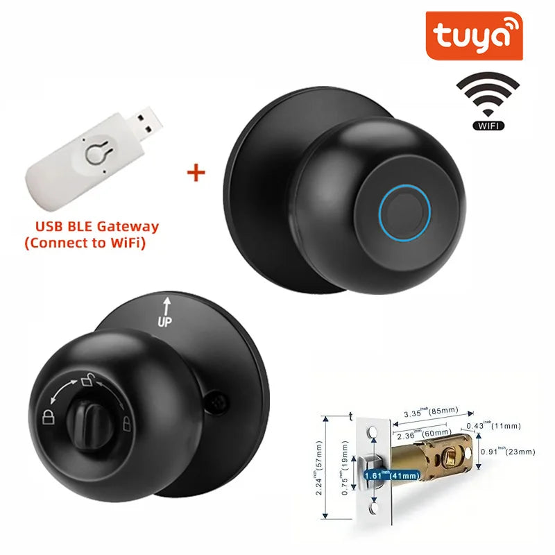 Biometric Fingerprint Smart Door Lock with Tuya App Control