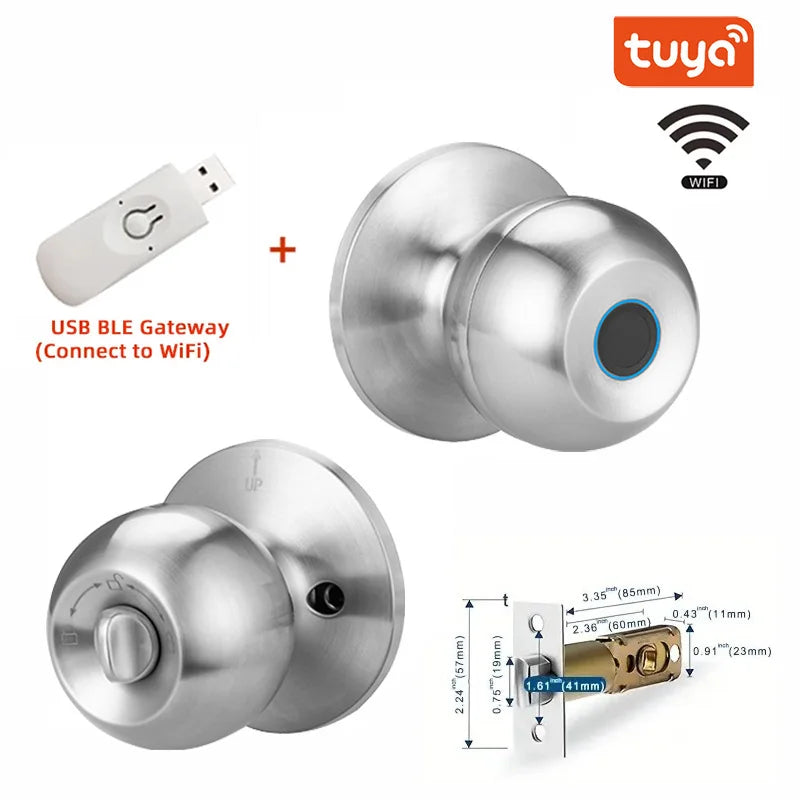 Biometric Fingerprint Smart Door Lock with Tuya App Control