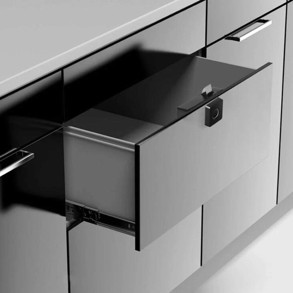 Biometric Fingerprint Cabinet Lock