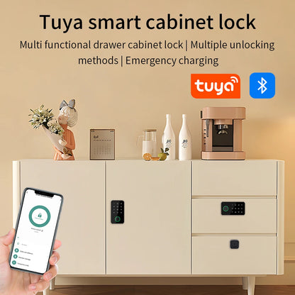 Biometric Fingerprint Cabinet Lock