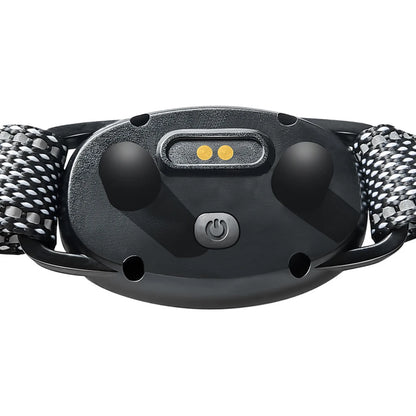 Electric Dog Training Collar – Waterproof E-Collar with Remote Control, Sound, Vibration, and Static Modes